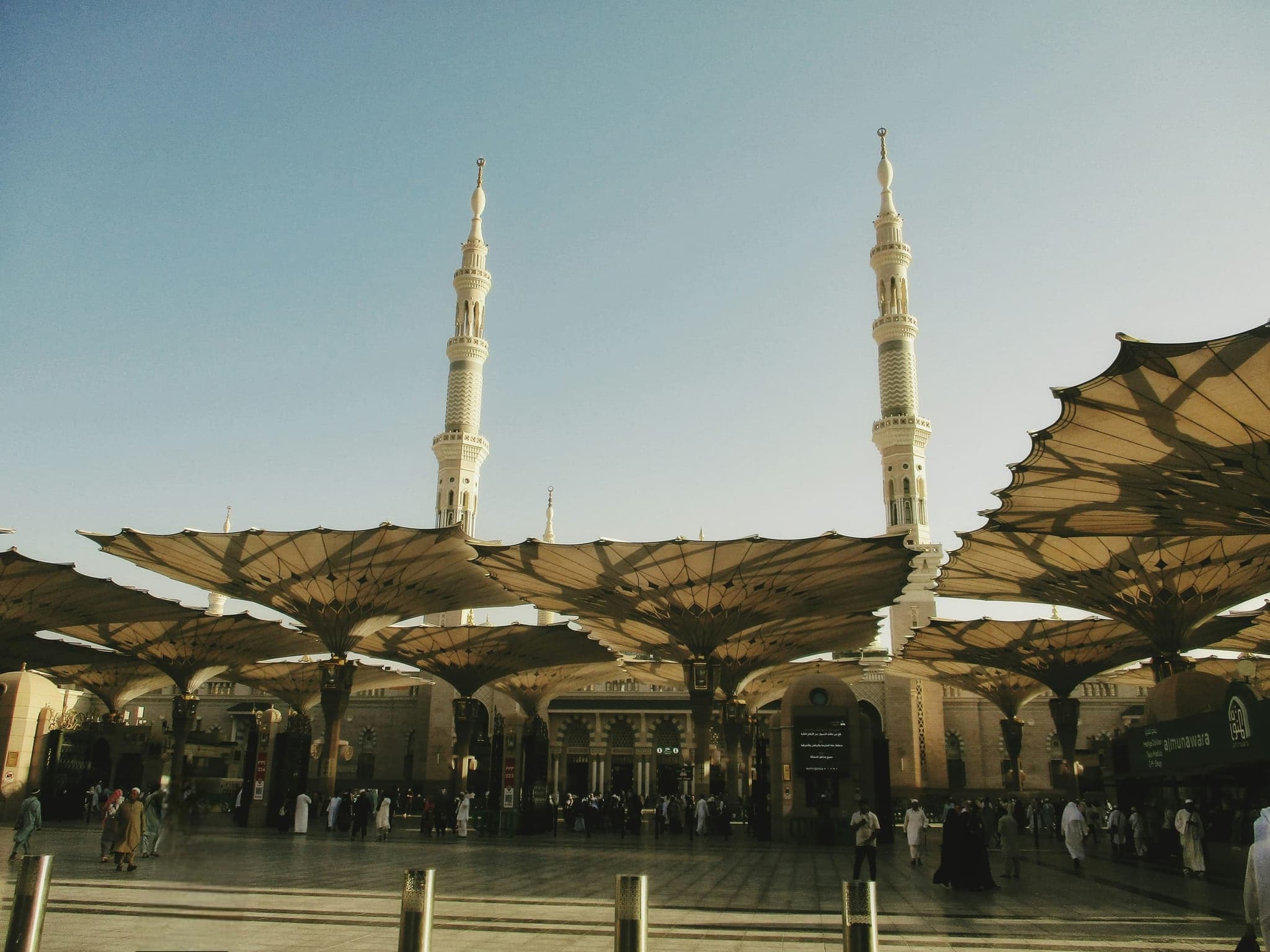 Mohammed Anwar — Founder of AIMS Tours
